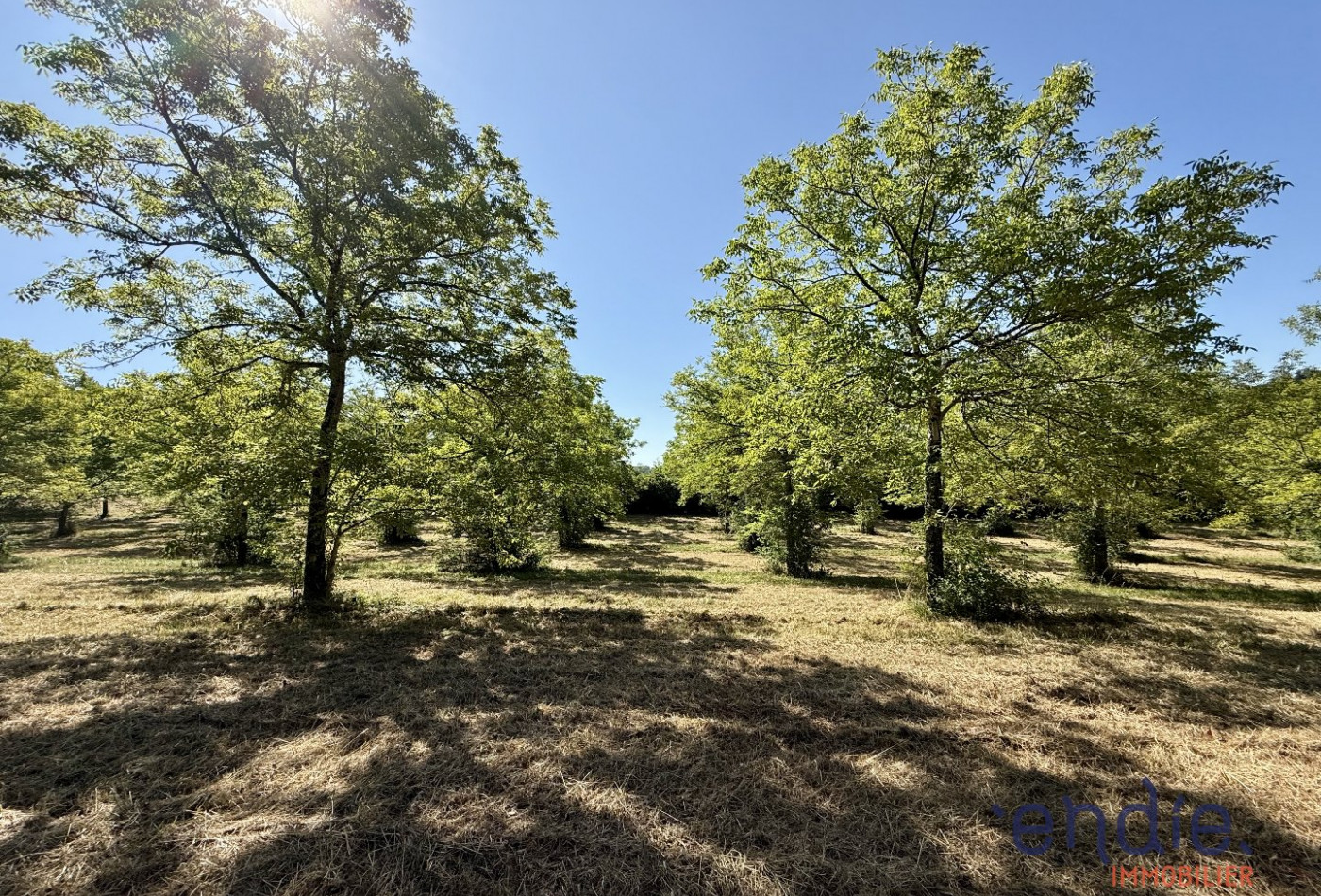 vente Terrain Monclar-de-quercy - Photo 3