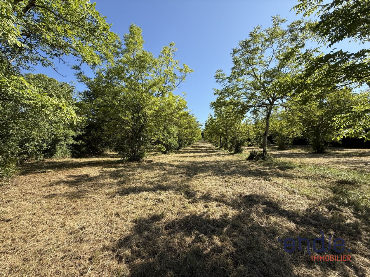 à vendre Terrain Monclar-de-quercy - Photo 4