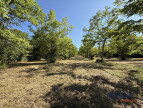 à vendre Terrain Monclar-de-quercy