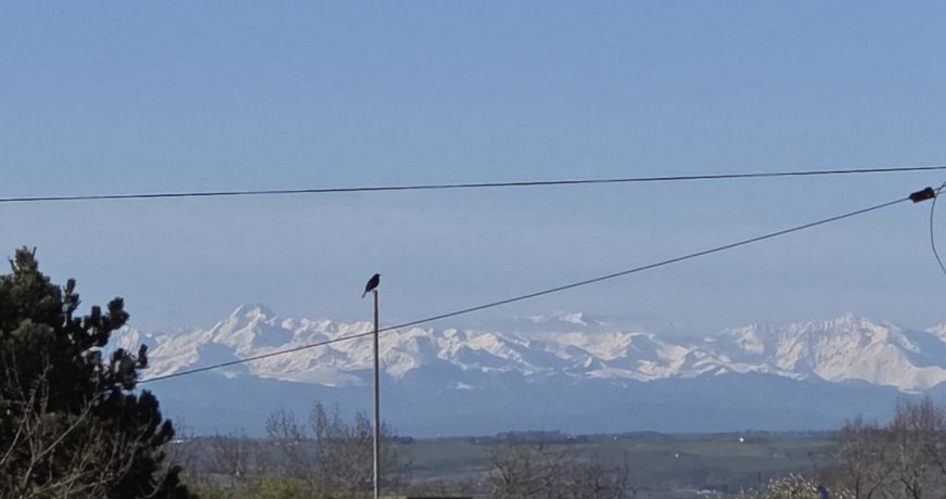 vente Appartement Labastide Beauvoir