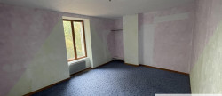 vente Immeuble Bourbonne Les Bains