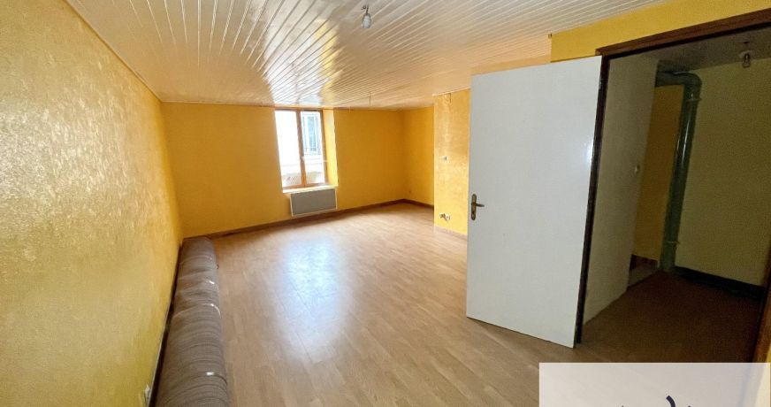 vente Immeuble Bourbonne Les Bains