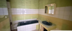 vente Immeuble Bourbonne Les Bains
