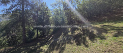 vente Studio Le Sauze