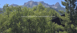 vente Appartement Barcelonnette