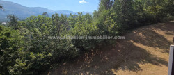 vente Studio Le Sauze