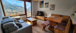 vente Appartement Pra Loup 1600