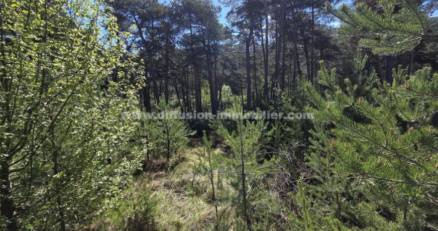 vente Terrain constructible Faucon De Barcelonnette