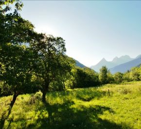 A vendre Le Lauzet Ubaye | Réf 04003336 - Diffusion immobilier