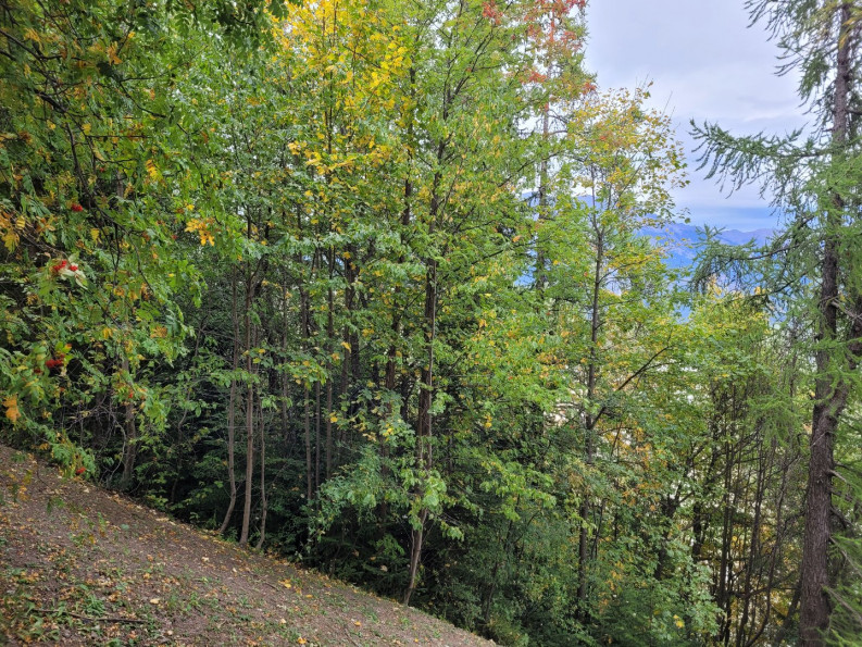 vente Appartement Pra Loup 1600 - Photo 9