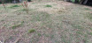 à vendre Terrain constructible Tourrette Levens