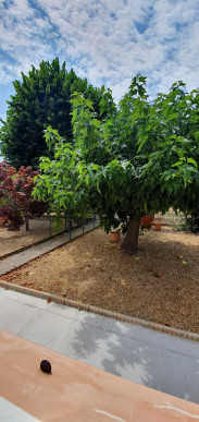 à vendre Maison Carros