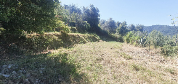 à vendre Maison Levens