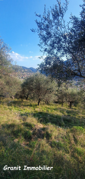 vente Terrain constructible Tourrette Levens - Photo 3