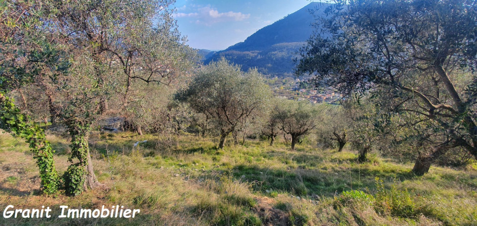 vente Terrain constructible Tourrette Levens - Photo 4