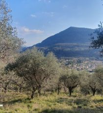 à vendre Tourrette Levens