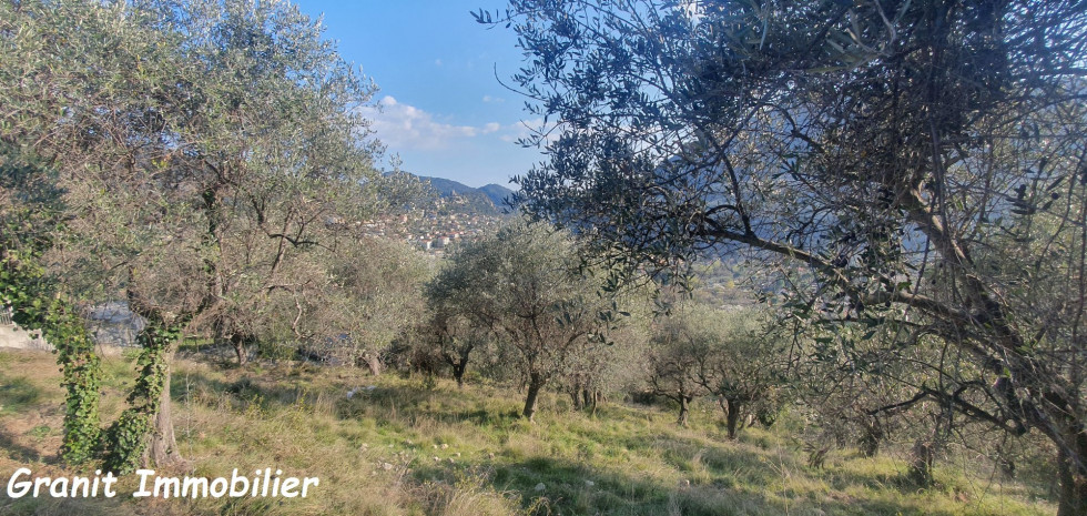 vente Terrain constructible Tourrette Levens - Photo 6