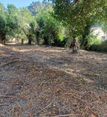 à vendre Tourrette Levens