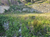 à vendre Terrain Tourrette Levens