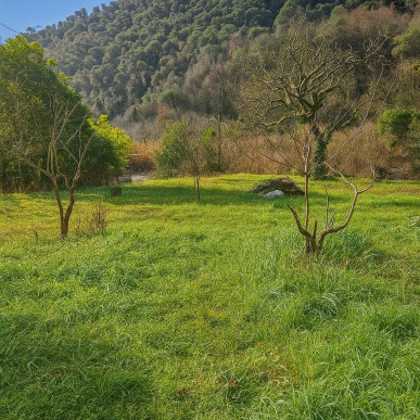 à vendre Terrain Tourrette Levens