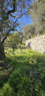 à vendre Terrain Tourrette Levens