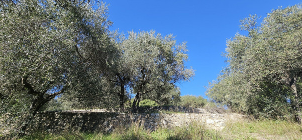 à vendre Terrain Tourrette Levens
