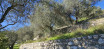 à vendre Terrain Tourrette Levens