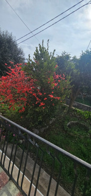 à louer Appartement Tourrette Levens