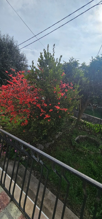 à louer Appartement Tourrette Levens - Photo 7