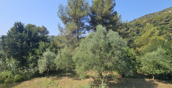 à vendre Maison Falicon