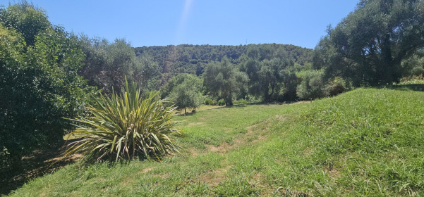 à vendre Maison Vence