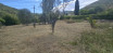 à vendre Terrain Tourrette Levens