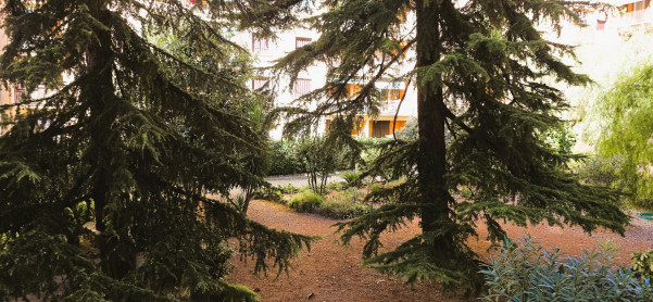 à vendre Appartement Nice