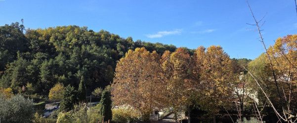 à vendre Maison Levens