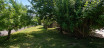 à vendre Maison Tourrette Levens