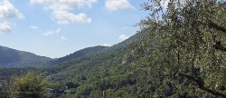 vente Terrain Tourrette Levens