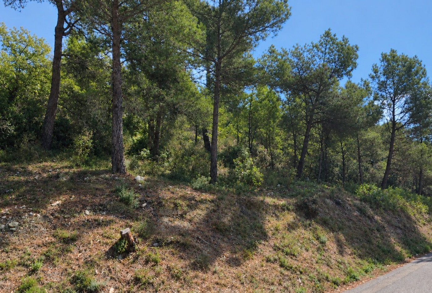 vente Terrain Tourrette Levens - Photo 3
