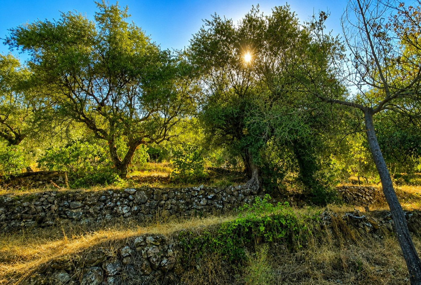 vente Terrain Saint Blaise - Photo 2