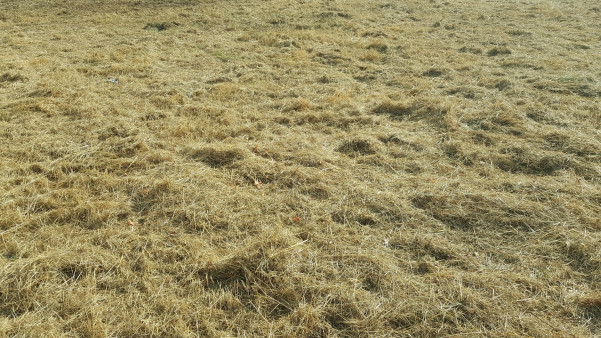 à vendre Terrain Tourrette Levens