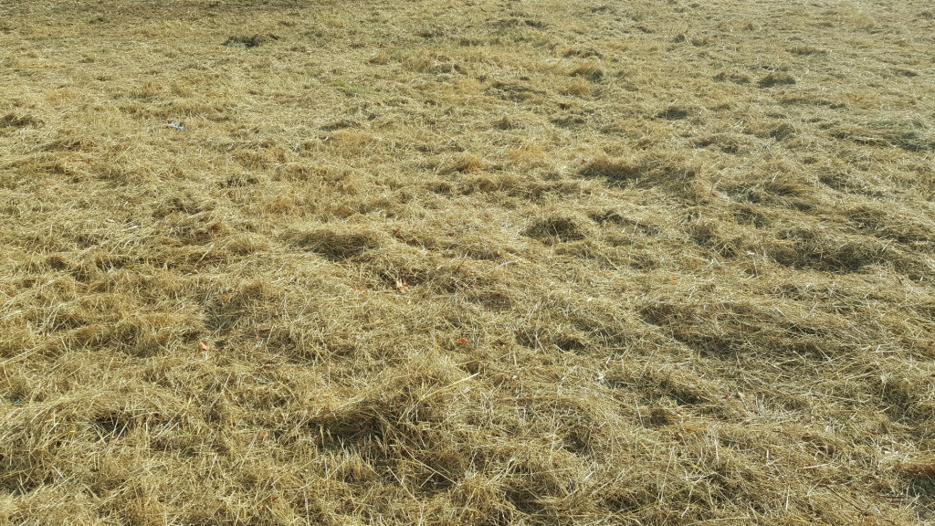 à vendre Terrain Tourrette Levens - Photo 2