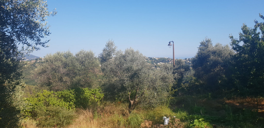 à vendre Villa Nice - Photo 5