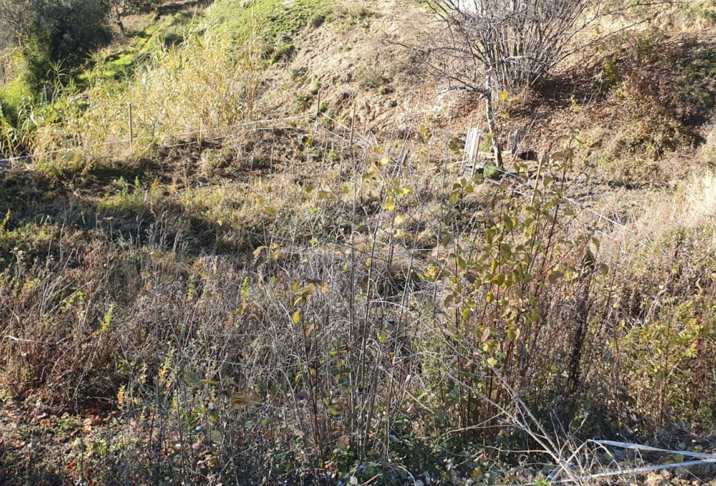vente Terrain constructible Tourrette Levens - Photo 4