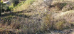 à vendre Terrain constructible Tourrette Levens