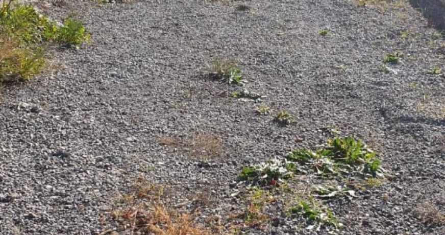 vente Terrain constructible Tourrette Levens