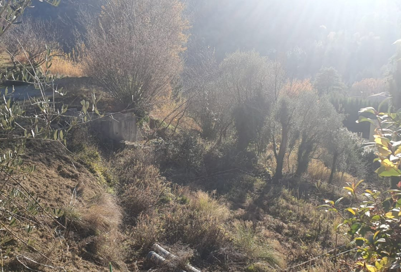 vente Terrain constructible Tourrette Levens - Photo 7