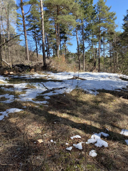 à vendre Terrain de loisir Le Mas - Photo 2