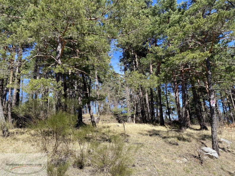 à vendre Terrain de loisir Le Mas - Photo 3