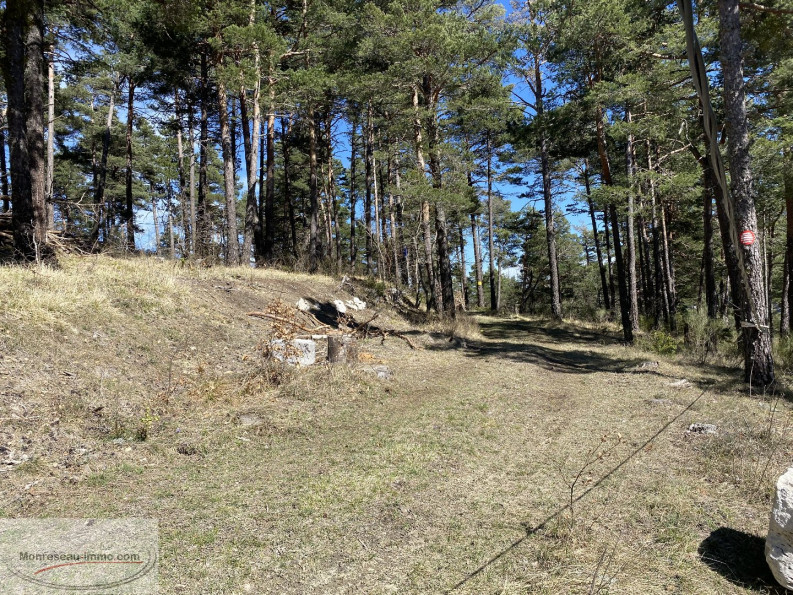 à vendre Terrain de loisir Le Mas - Photo 1