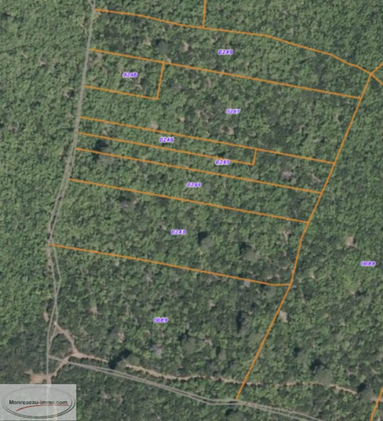 à vendre Terrain boisé – forêt Regusse - Photo 1