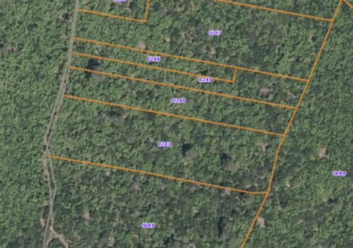 à vendre Terrain boisé – forêt Regusse